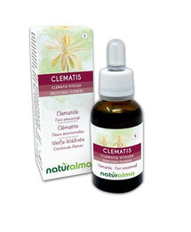 Naturalma Clematis Weiße Waldrebe Bach-Blüten Tropfen 30 ml Alkoholfreier Flüssigextrakt Vegan – Bild 1 von 1