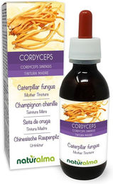 Naturalma Cordyceps sinensis Chinesischer Raupenpilz Extrakt Tropfen vegan zuckerfrei ohne Zusatzstoffe – Bild 1 von 1