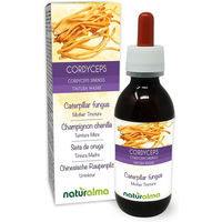 Produktbild von Naturalma Cordyceps sinensis Chinesischer Raupenpilz Extrakt Tropfen vegan zuckerfrei ohne Zusatzstoffe