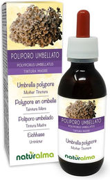 Naturalma Eichhase Polyporus umbellatus Extrakt Tropfen vegan und zuckerfrei – Bild 1 von 1