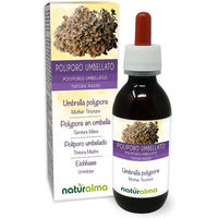 Produktbild von Naturalma Eichhase Polyporus umbellatus Extrakt Tropfen vegan und zuckerfrei