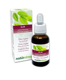 Naturalma Englische Ulme Ulmus procera Bach-Blüten Tropfen 30 ml vegan ohne Zusatzstoffe – Bild 1 von 2