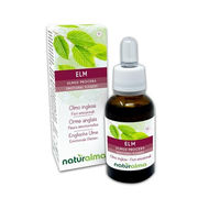 Produktbild von Naturalma Englische Ulme Ulmus procera Bach-Blüten Tropfen 30 ml vegan ohne Zusatzstoffe