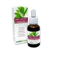 Produktbild von Naturalma Esskastanie Castanea sativa Bach-Blüten Tropfen 30 ml vegan ohne Zusatzstoffe