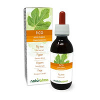 Produktbild von Naturalma Feige Ficus carica Knospen-Extrakt Tropfen vegan zuckerfrei 120 ml
