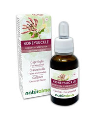 Naturalma Geißblatt Lonicera caprifolium Blütenessenzen Tropfen 30 ml vegan ohne Zusatzstoffe – Bild 1 von 2