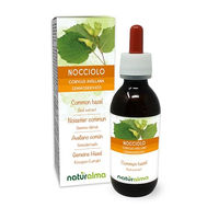 Produktbild von Naturalma Gemeine Hasel Corylus avellana Knospen-Extrakt Tropfen 120 ml vegan zuckerfrei ohne Zusatzstoffe