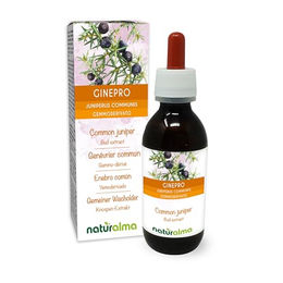 Naturalma Gemeiner Wacholder Juniperus communis Knospen-Extrakt Tropfen vegan zuckerfrei 120 ml – Bild 1 von 2