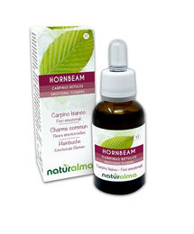 Naturalma Hainbuche Carpinus betulus Bachblüten Tropfen 30 ml vegan ohne Zusatzstoffe – Bild 1 von 2