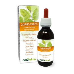 Naturalma Hainbuche Weißbuche Carpinus betulus Knospen-Extrakt Tropfen 120 ml vegan zuckerfrei ohne Zusatzstoffe – Bild 1 von 1