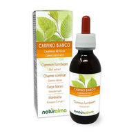Produktbild von Naturalma Hainbuche Weißbuche Carpinus betulus Knospen-Extrakt Tropfen 120 ml vegan zuckerfrei ohne Zusatzstoffe
