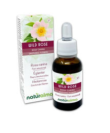 Naturalma Heckenrose Rosa canina Blütenessenzen Tropfen 30 ml vegan ohne Zusatzstoffe – Bild 1 von 2