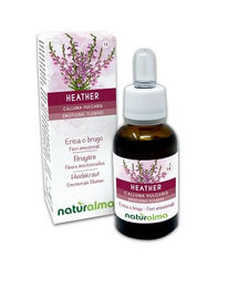 Naturalma Heidekraut Calluna vulgaris Blütenessenzen Tropfen 30 ml vegan ohne Zusatzstoffe – Bild 1 von 2