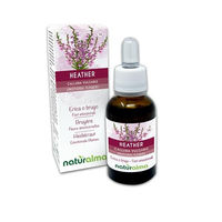 Produktbild von Naturalma Heidekraut Calluna vulgaris Blütenessenzen Tropfen 30 ml vegan ohne Zusatzstoffe
