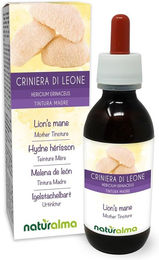 Naturalma Igelstachelbart Hericium erinaceus Flüssig Extrakt Tropfen vegan und zuckerfrei – Bild 1 von 1