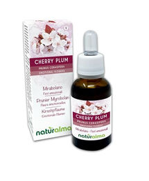 Naturalma Kirschpflaume Prunus cerasifera Bach-Blüten Tropfen 30 ml vegan ohne Zusatzstoffe – Bild 1 von 2