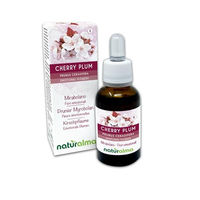 Produktbild von Naturalma Kirschpflaume Prunus cerasifera Bach-Blüten Tropfen 30 ml vegan ohne Zusatzstoffe