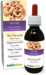 Naturalma Klapperschwamm Grifola frondosa Flüssig Extrakt Tropfen vegan zuckerfrei ohne Zusatzstoffe – Bild 1 von 1