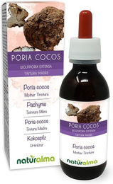 Naturalma Kokospilz Wolfiporia extensa Flüssig Extrakt Tropfen vegan zuckerfrei ohne Zusatzstoffe – Bild 1 von 1