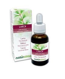 Naturalma Lärche Larix decidua Bach-Blüten Tropfen 30 ml vegan ohne Zusatzstoffe – Bild 1 von 2