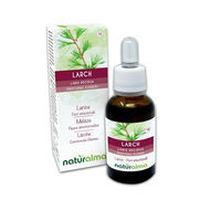Produktbild von Naturalma Lärche Larix decidua Bach-Blüten Tropfen 30 ml vegan ohne Zusatzstoffe