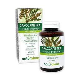 Naturalma Milzfarn Ceterach officinarum Tabletten vegan ohne Zusatzstoffe 300 Stück 150 g – Bild 1 von 2