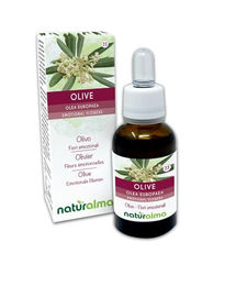 Naturalma Ölbaum Olea europaea Bach-Blüten Tropfen 30 ml vegan ohne Zusatzstoffe – Bild 1 von 2
