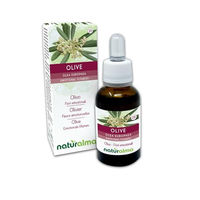 Produktbild von Naturalma Ölbaum Olea europaea Bach-Blüten Tropfen 30 ml vegan ohne Zusatzstoffe