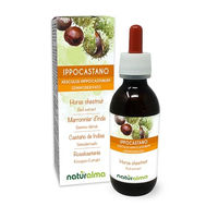 Produktbild von Naturalma Rosskastanie Aesculus hippocastanum Knospen-Extrakt alkoholfreie Tropfen vegan 120 ml