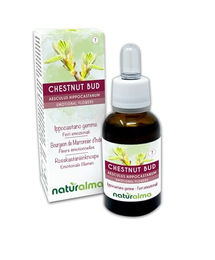 Naturalma Rosskastanienknospe Aesculus hippocastanum Bach-Blüten Tropfen 30 ml vegan ohne Zusatzstoffe – Bild 1 von 2
