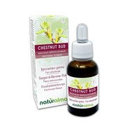 Produktbild von Naturalma Rosskastanienknospe Aesculus hippocastanum Bach-Blüten Tropfen 30 ml vegan ohne Zusatzstoffe