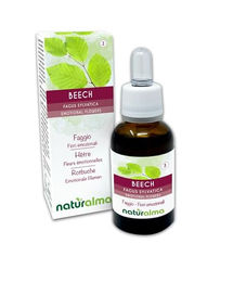 Naturalma Rotbuche Bachblüten Tropfen 30 ml vegan und ohne Zusatzstoffe – Bild 1 von 2