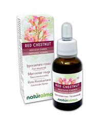 Naturalma Rote Rosskastanie Aesculus carnea Bach-Blüten Tropfen 30 ml vegan ohne Zusatzstoffe – Bild 1 von 2