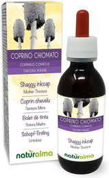 Naturalma Schopf-Tintling Coprinus comatus Extrakt Tropfen vegan und zuckerfrei – Bild 1 von 1
