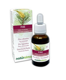 Naturalma Schottische Kiefer Pinus sylvestris Blütenessenzen Tropfen 30 ml vegan ohne Zusatzstoffe – Bild 1 von 2