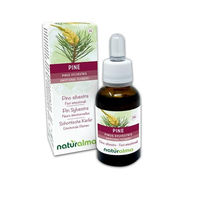 Produktbild von Naturalma Schottische Kiefer Pinus sylvestris Blütenessenzen Tropfen 30 ml vegan ohne Zusatzstoffe