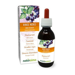Naturalma Schwarze Johannisbeere Ribes nigrum Knospen-Extrakt Tropfen vegan zuckerfrei 120 ml – Bild 1 von 2