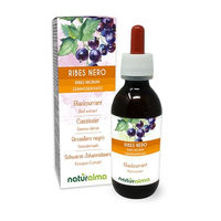 Produktbild von Naturalma Schwarze Johannisbeere Ribes nigrum Knospen-Extrakt Tropfen vegan zuckerfrei 120 ml