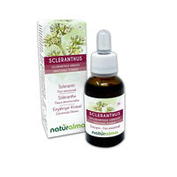 Produktbild von Naturalma Scleranthus Einjähriger Knäuel Bachblüten Tropfen 30 ml vegan ohne Zusatzstoffe