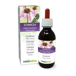 Naturalma Sonnenhut Echinacea angustifolia Wurzeln Urtinktur Tropfen 120 ml vegan zuckerfrei ohne Zusatzstoffe – Bild 1 von 2