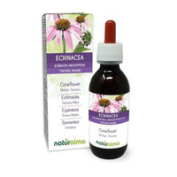 Produktbild von Naturalma Sonnenhut Echinacea angustifolia Wurzeln Urtinktur Tropfen 120 ml vegan zuckerfrei ohne Zusatzstoffe
