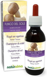 Naturalma Sonnenpilz Agaricus blazei Extrakt Tropfen vegan zuckerfrei ohne Zusatzstoffe – Bild 1 von 1