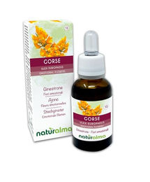 Naturalma Stechginster Ulex europaeus Bachblüten Tropfen 30 ml vegan ohne Zusatzstoffe – Bild 1 von 2