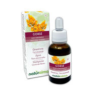 Produktbild von Naturalma Stechginster Ulex europaeus Bachblüten Tropfen 30 ml vegan ohne Zusatzstoffe