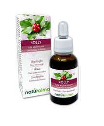 Naturalma Stechpalme Ilex aquifolium Blütenessenzen Tropfen 30 ml vegan ohne Zusatzstoffe – Bild 1 von 2