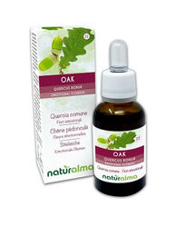 Naturalma Stieleiche Quercus robur var. pedunculata Bachblüten Tropfen 30 ml vegan ohne Zusatzstoffe – Bild 1 von 2