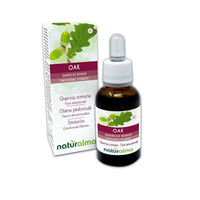 Produktbild von Naturalma Stieleiche Quercus robur var. pedunculata Bachblüten Tropfen 30 ml vegan ohne Zusatzstoffe
