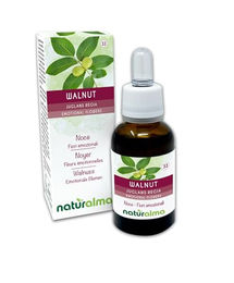 Naturalma Walnuss Juglans regia Bach-Blüten Essenzen Tropfen 30 ml vegan ohne Zusatzstoffe – Bild 1 von 2