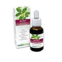 Produktbild von Naturalma Walnuss Juglans regia Bach-Blüten Essenzen Tropfen 30 ml vegan ohne Zusatzstoffe