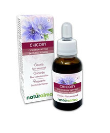 Naturalma Wegwarte Cichorium intybus Bachblüten Tropfen 30 ml vegan ohne Zusatzstoffe – Bild 1 von 2